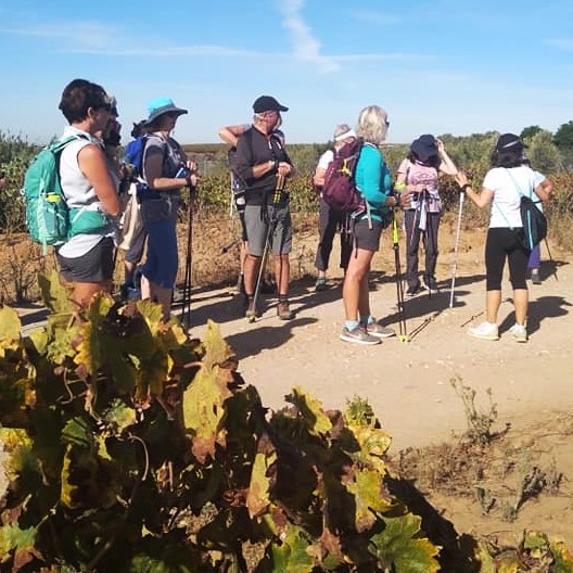 Enowalking Senderismo entre Viñedos - Huelva Experiences