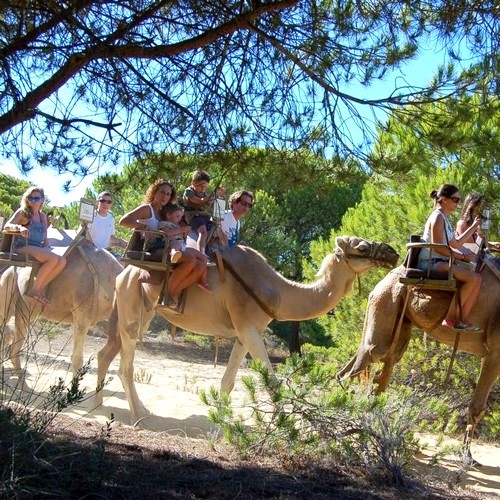 Paseo en Camello y Visita a Granja de Animales - Huelva Experiences