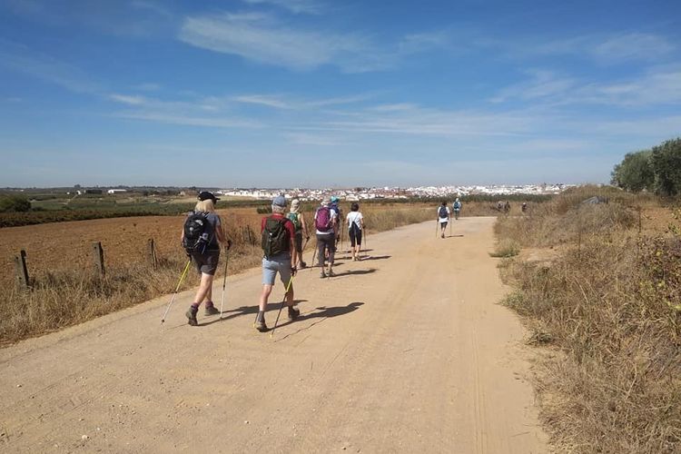 Enowalkin Senderismo entre Viñedos - Huelva Experiences