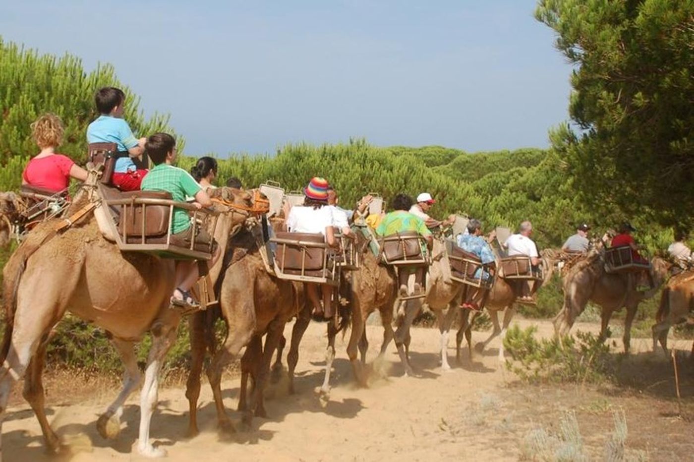 Paseo en Camello y Visita a Granja de Animales - Huelva Experiences