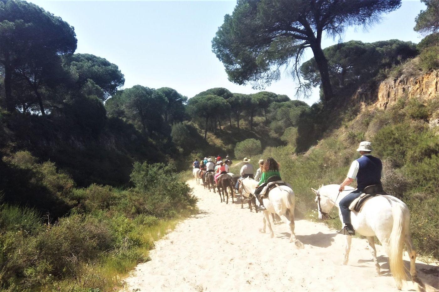 Ruta paisajística a Caballo por Playa de Doñana - Huelva Experiences