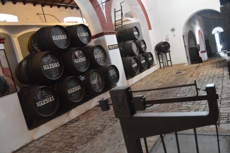 Visita y Degustación de Vinos en Bodegas Iglesias - Huelva Experiences